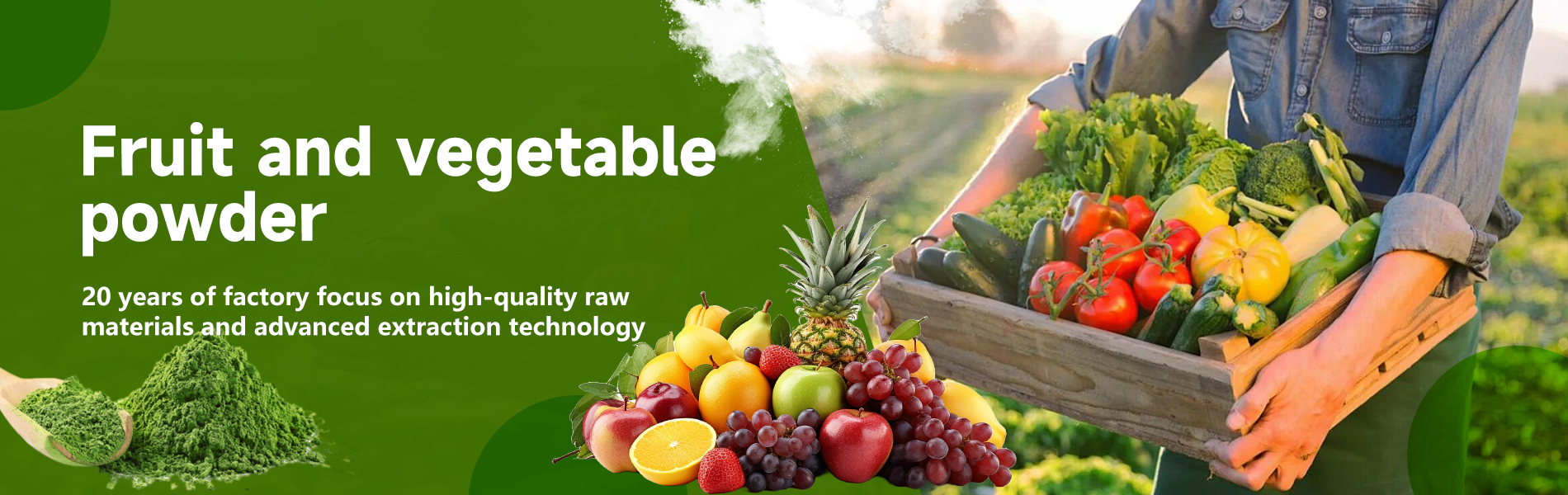 Wheatgrass Powder Introduction Banner