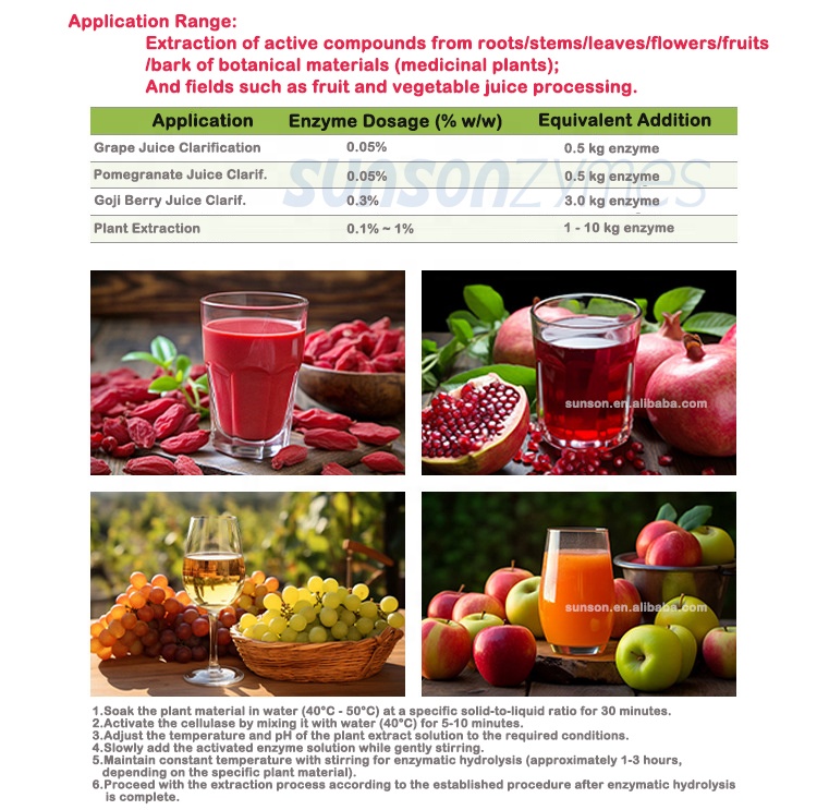 Complex Cellulase Enzyme Powder (017), Special For Plant Extract, Improve The Yield Of Nutrients Extract From Herbs