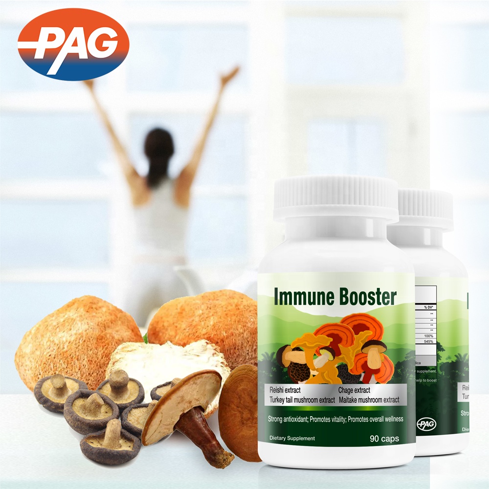 Private Label Supplement Maitake Chaga Red Reishi Lions Mane Mushroom Extract Herbal Capsules