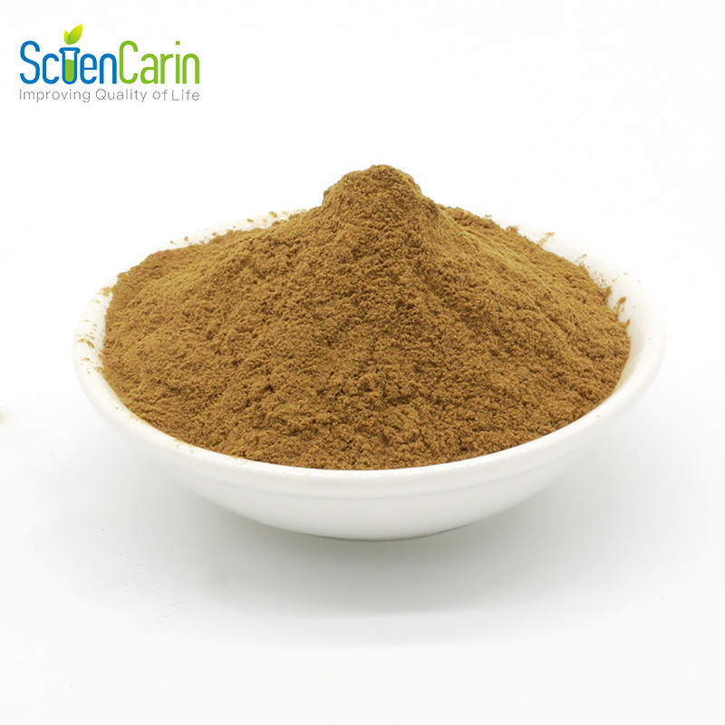 Best Price Pure Chinese Traditional Herb Patchouli Extract