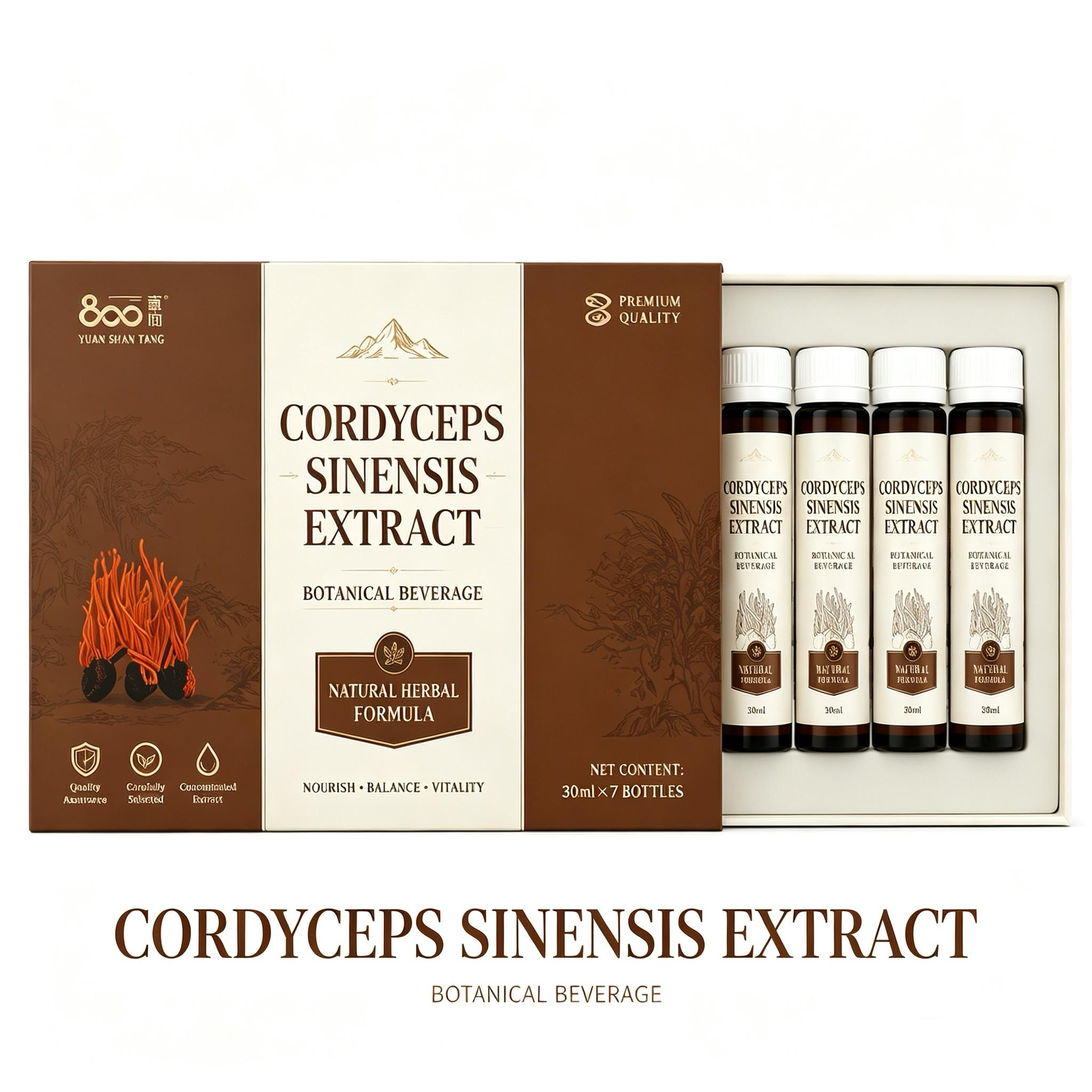 Private Label Cordyceps Militaris Fermented Extract Liquid 30ml Mushroom Tincture Supplement for Immune &amp; Energy Support OEM