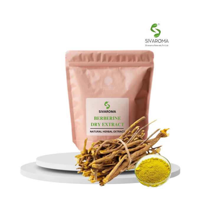 Bulk Standardized Wild Berberine Herbal Extract for Medicinal and Supplement Use