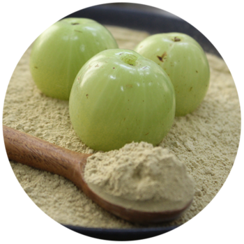 ISO Certified Amla Powder for Joint &amp; Bone Support Anti inflammatory benefits to keep you moving
