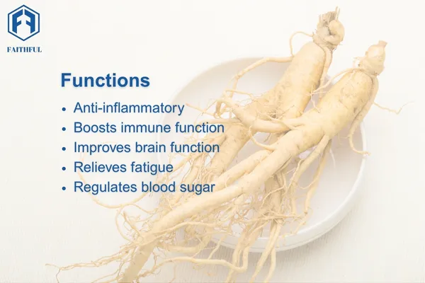 Bulk Ginseng Extract for Herbal and Functional Formulas