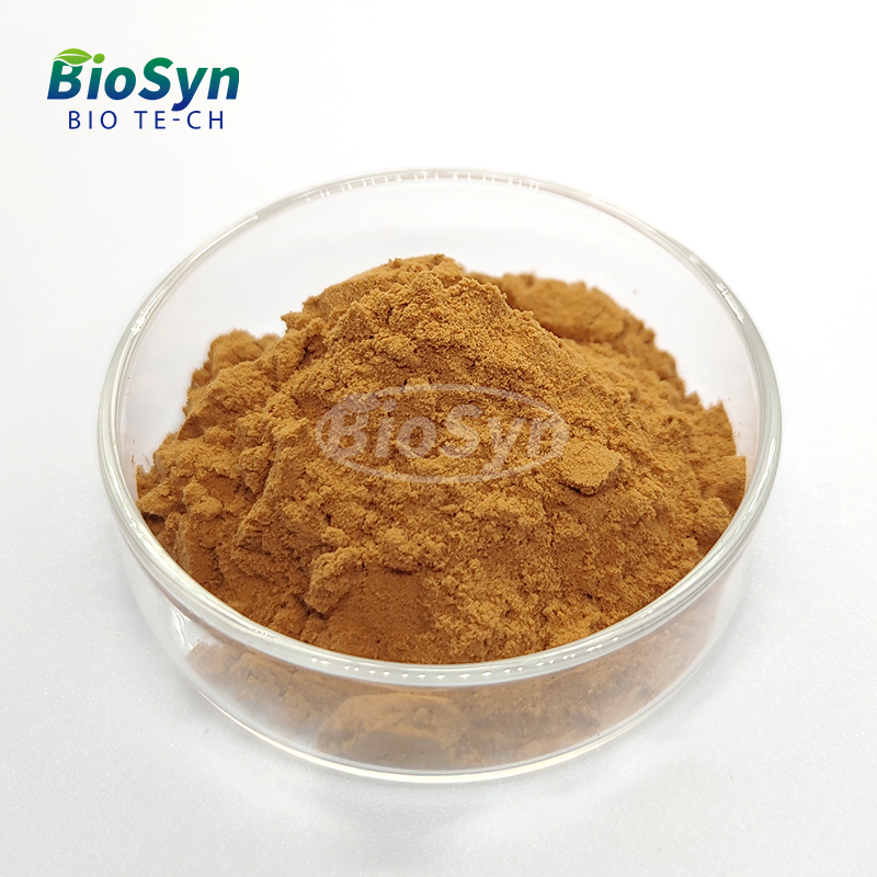 BioSyn High Quality Plant Extract Mulberry Leaf Extract 10% 20%Polysaccharides Powder Herbal Product