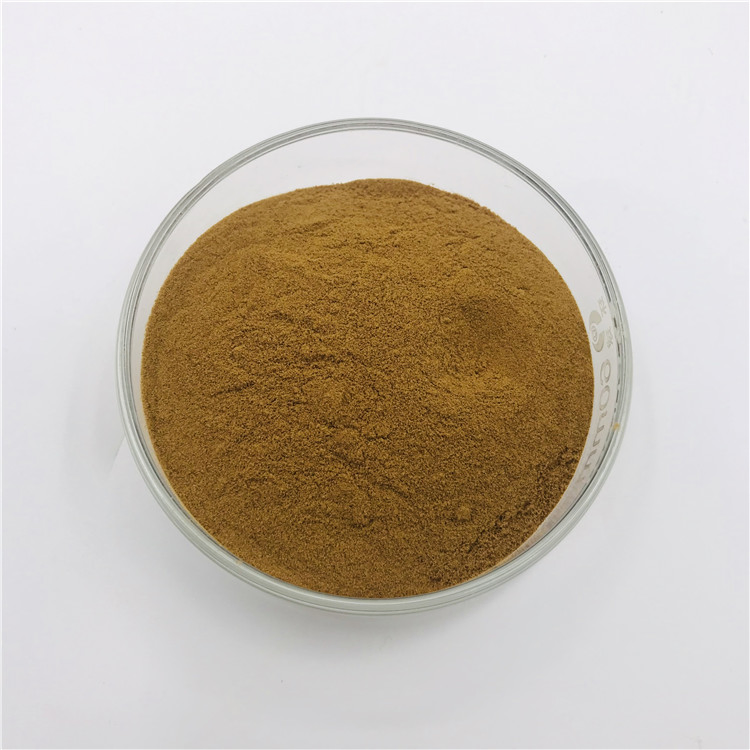 Heartleaf Houttuynia Herb Extract for Curing Hematochezia Used in Nutrition