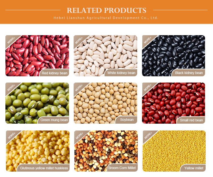 Kidney beans and lentils portfolio