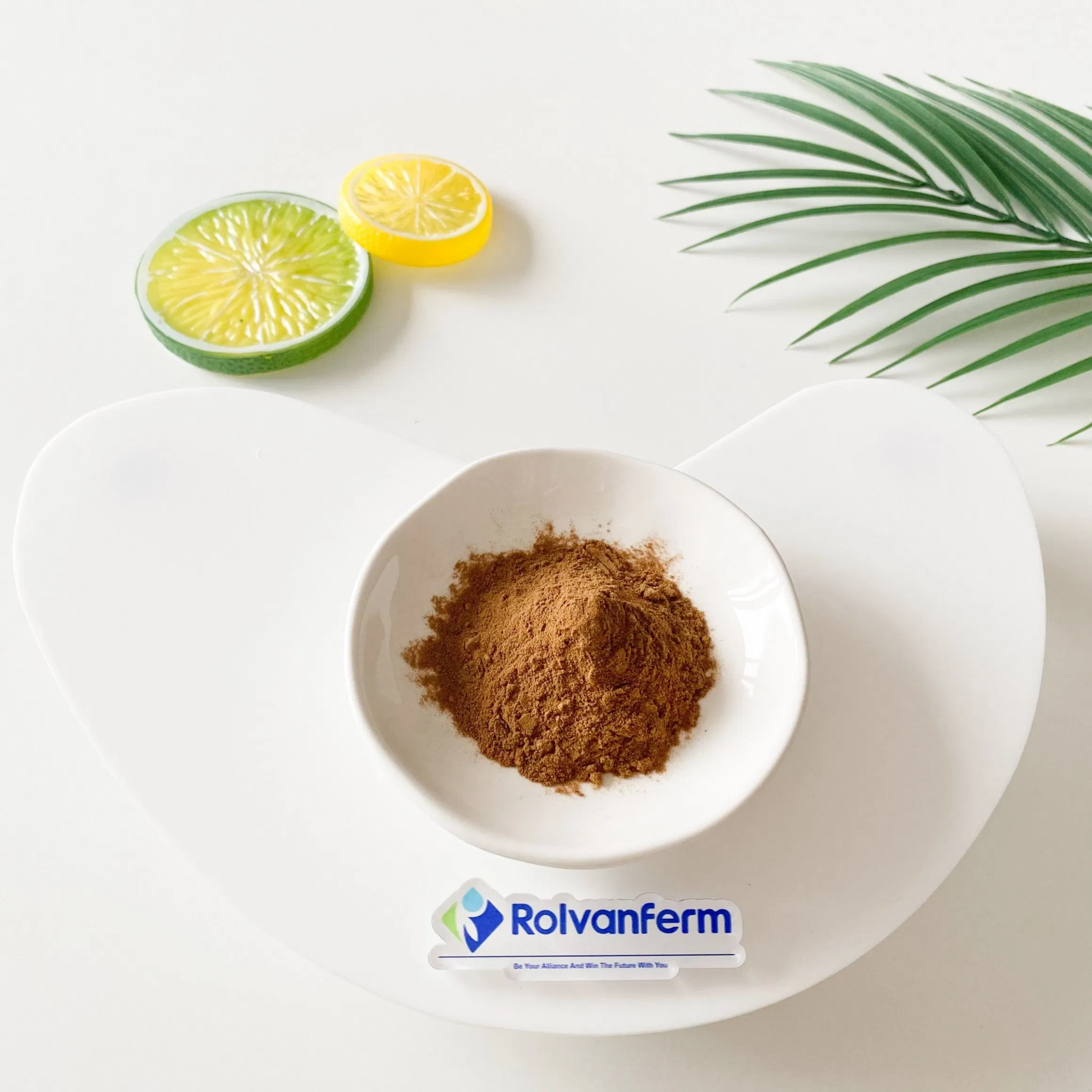 Natural Mulberry Leaf Extract 1-Deoxynojirimycin Powder Food Grade Organic Certified