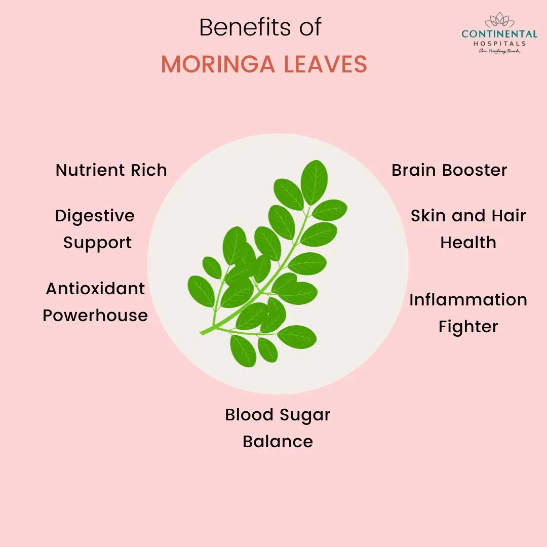 Natural Moringa Leaf Extract Powder - Antioxidant Plant-Based Ingredient for Health &amp; Nutrition