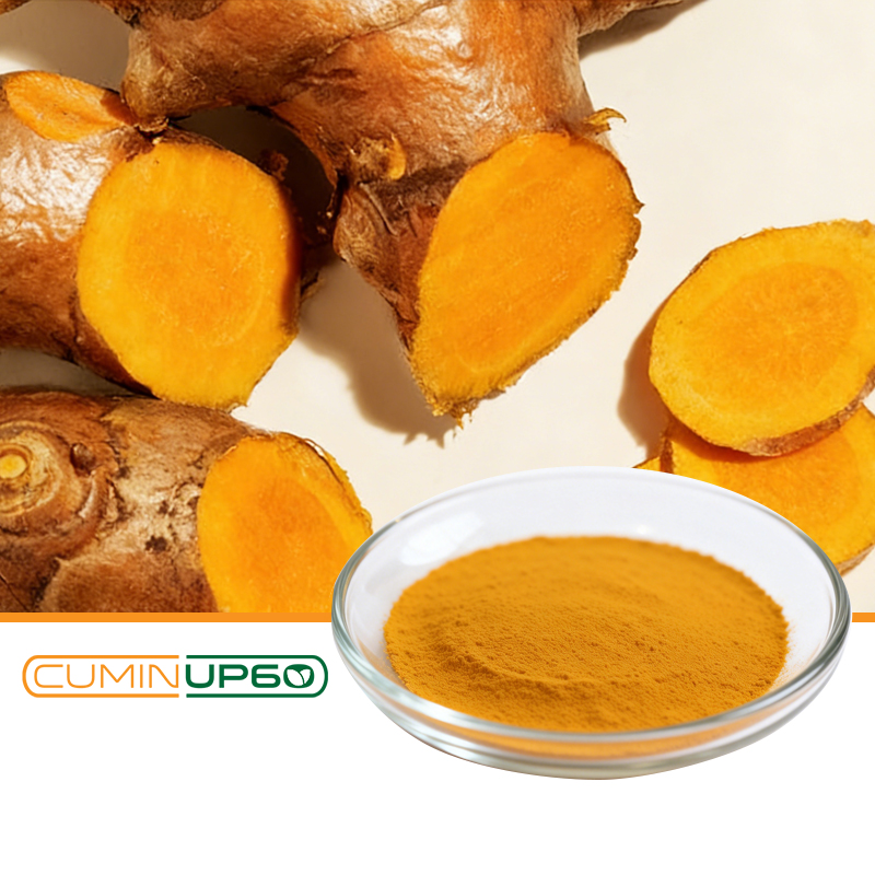 Food Grade Water Soluble CuminUP60 Turmeric Extract 178X High Bioavailability for Health Food &amp; Powder Beverages