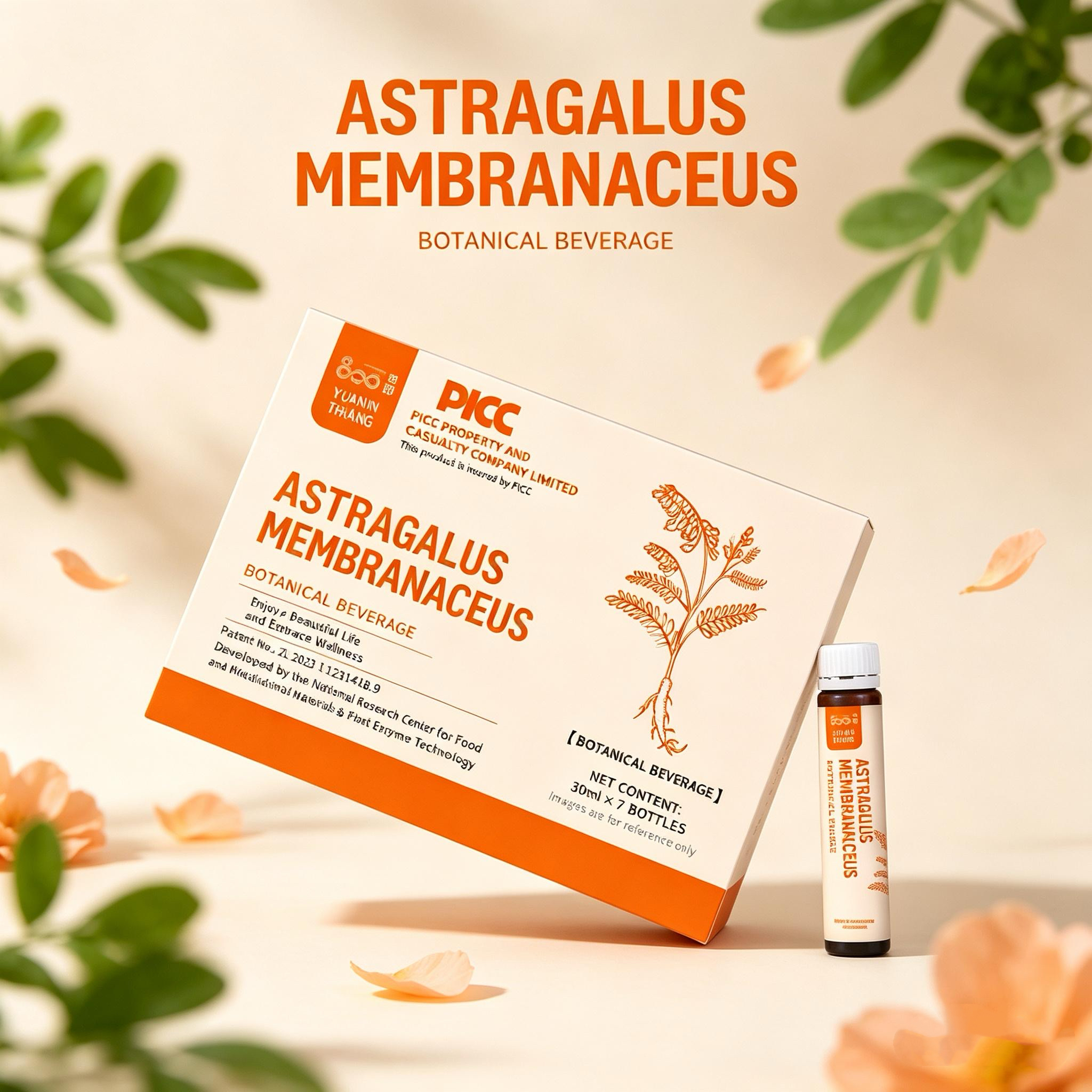 Fermented Herbal Extract of Astragalus Membranaceus Liquid 30ml Food Grade in Bottle Herbal Supplement