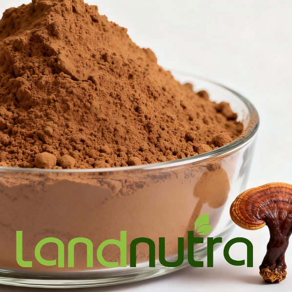 Wholesale Bulk Pure Organic Reishi Mushroom Extract Ganoderma Lucidum Powder Reishi Mushroom Extract Powder