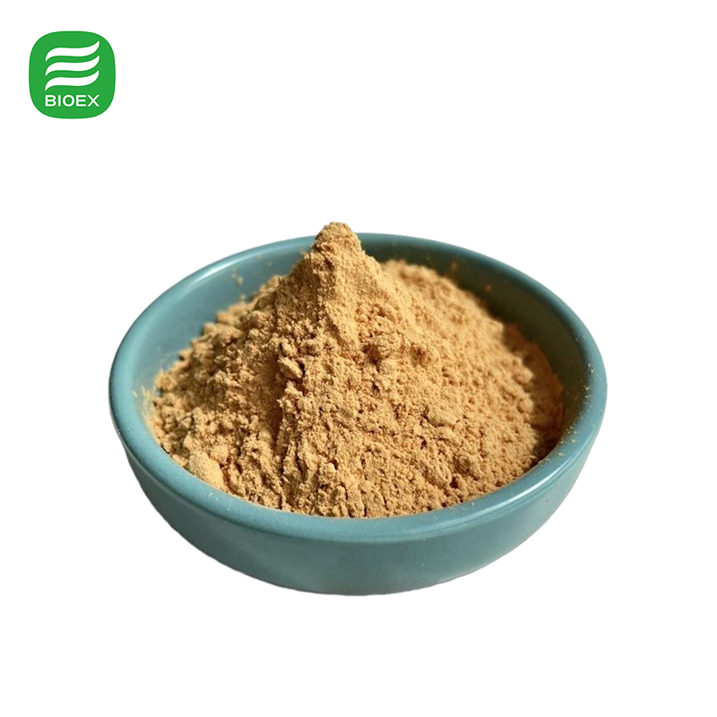 Certified Organic Milk Thistle Seed Extract Wholesale High Potency Silymarin Powder