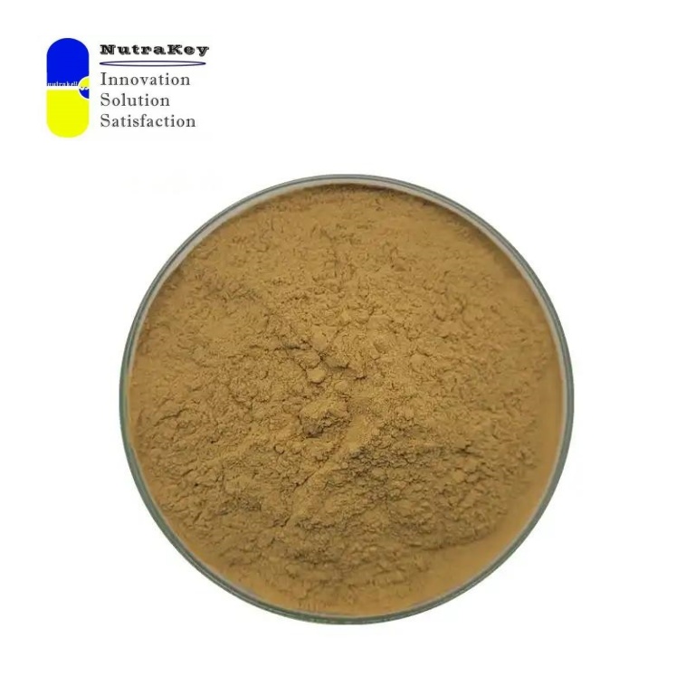 Premium Gotu Kola Extract Powder 10% Triterpenes, Centella Asiatica, for Cosmetics &amp; Dietary Supplements