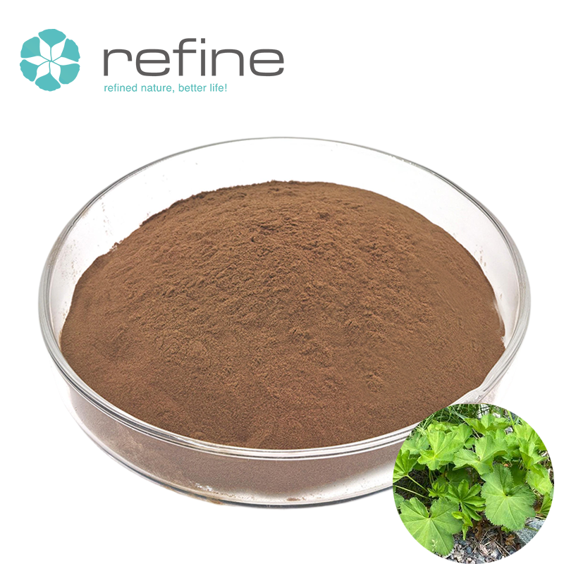 Lady's Mantle Root Extract (Alchemilla Vulgaris) Powder Wild Harvested Liquid-Solid Extraction 99% Pure Health Food Grade Vacuum