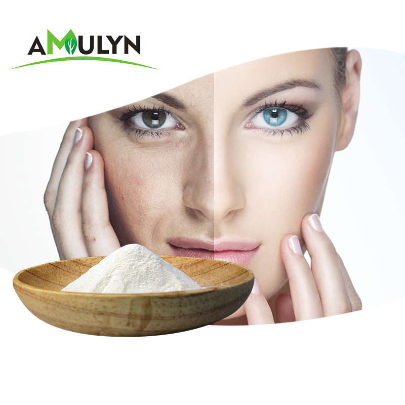 High Quality Beta Oat Glucan Herbal Extract Powder Cosmetic Grade Supply in Drum Can Plastic Container HPLC Tested MOQ 1kg