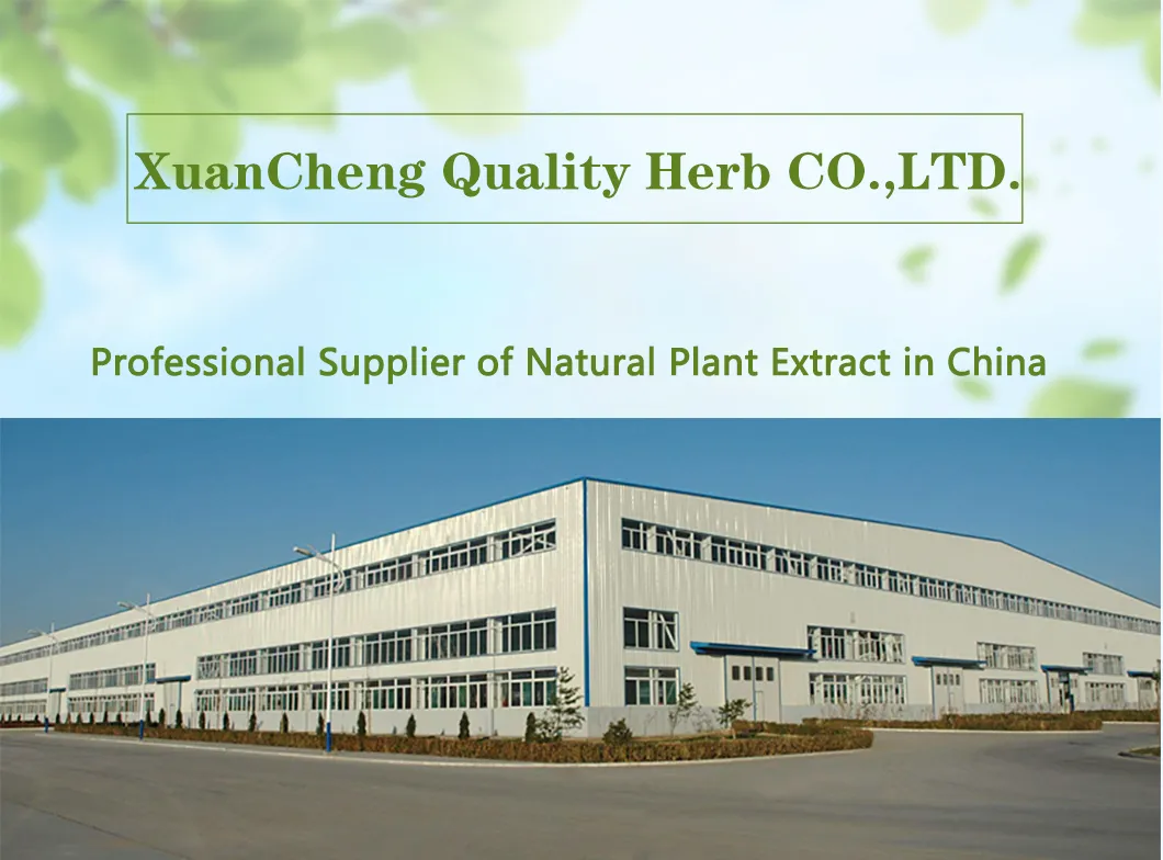 Water Soluble Nuciferin Nuciferine Lotus Leaf Extract with Effect of Weight Loss Herbal