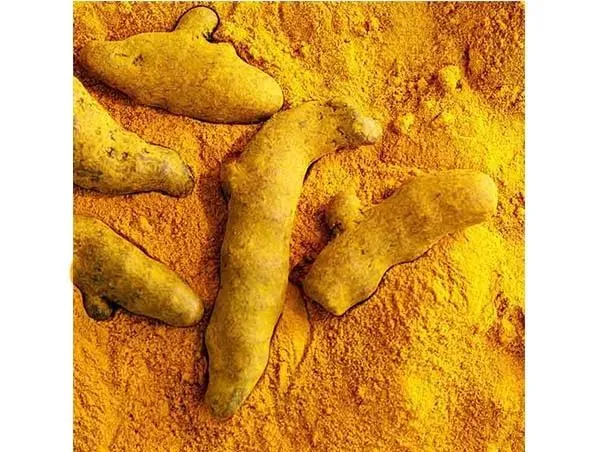 100% Natural Herbal Extracts Water-Soluble and Non-Water-Soluble Organic Curcuma Extract