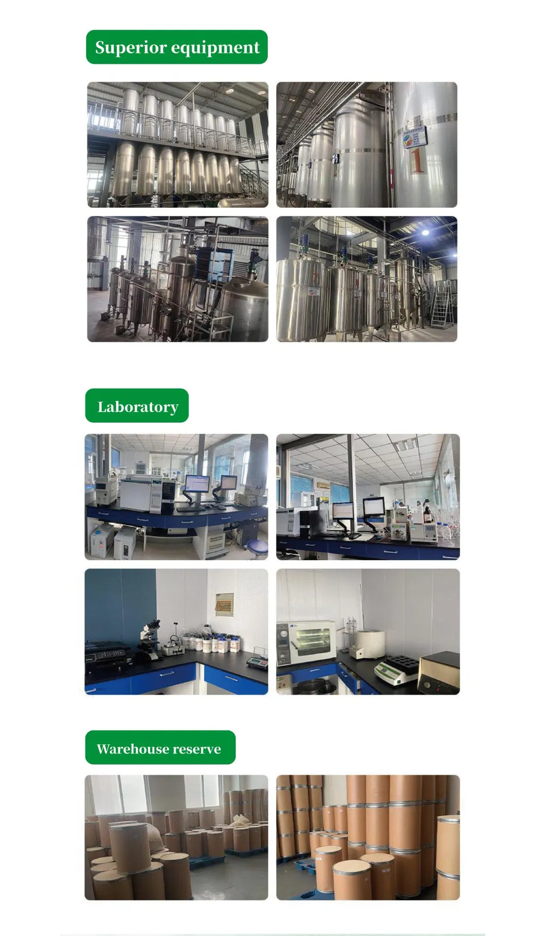 High Quality Burdock Extract Powder 100% Natural Herbal Extract Fully Water-Soluble