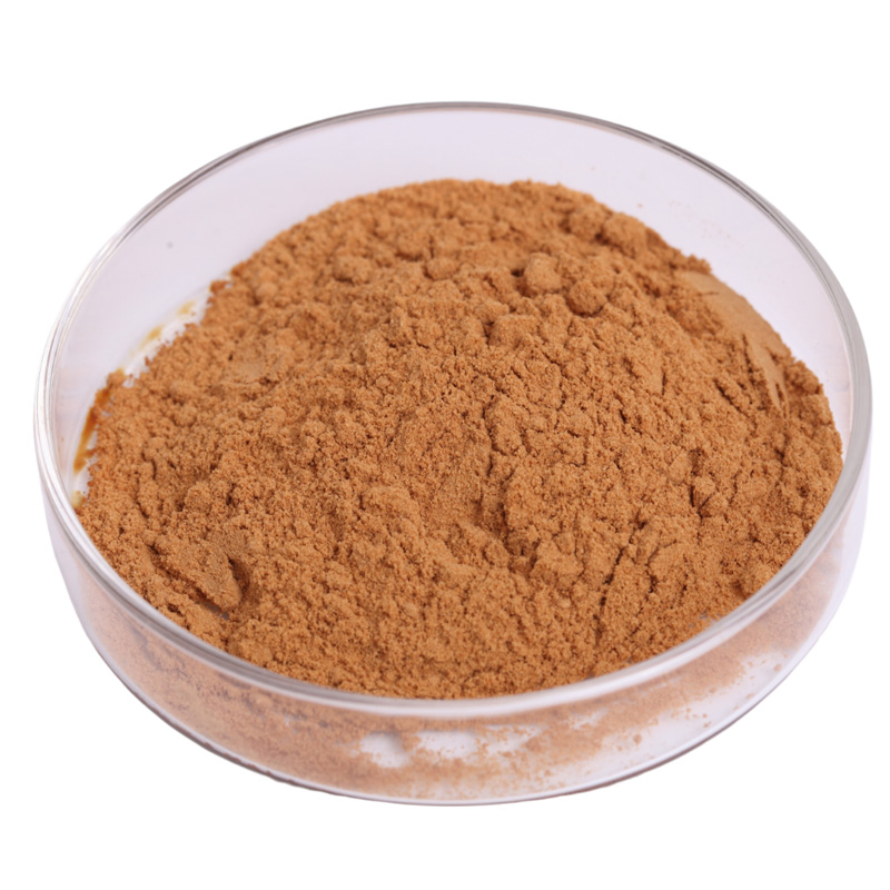 Pure Natural 10: 1 Cucurbita Moschata Pumpkin Seed Extract for Hair Herbal