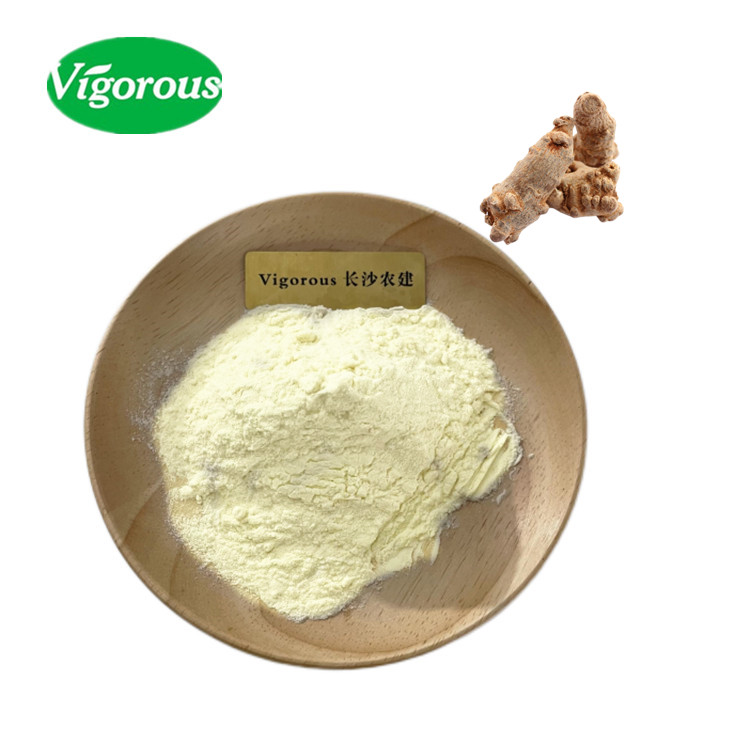 Chinese Traditional Herb Panax Notoginseng Extract Powder Panax Notoginsenosides