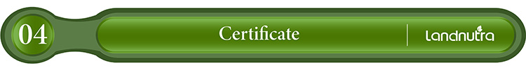 Wholesale Bulk Pure Organic Reishi Mushroom Extract Ganoderma Lucidum Powder Reishi Mushroom Extract Powder