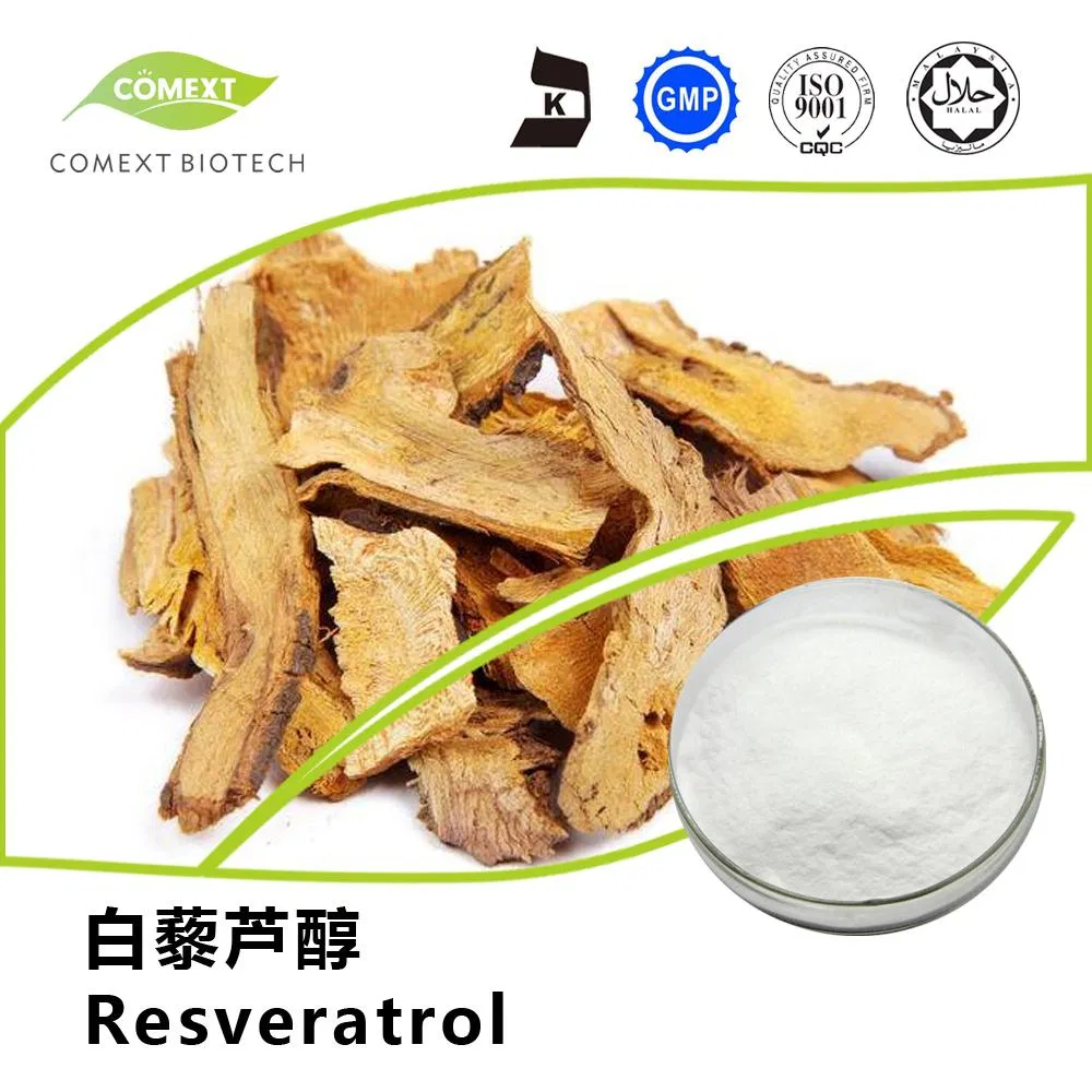 Herbal Silybum Marianum Plant Blessed Thistle Seed Powder 30% Silybins HPLC UV 40%~80% Water Soluble 40% Silymarin Milk Thistle Extract for Liver Health