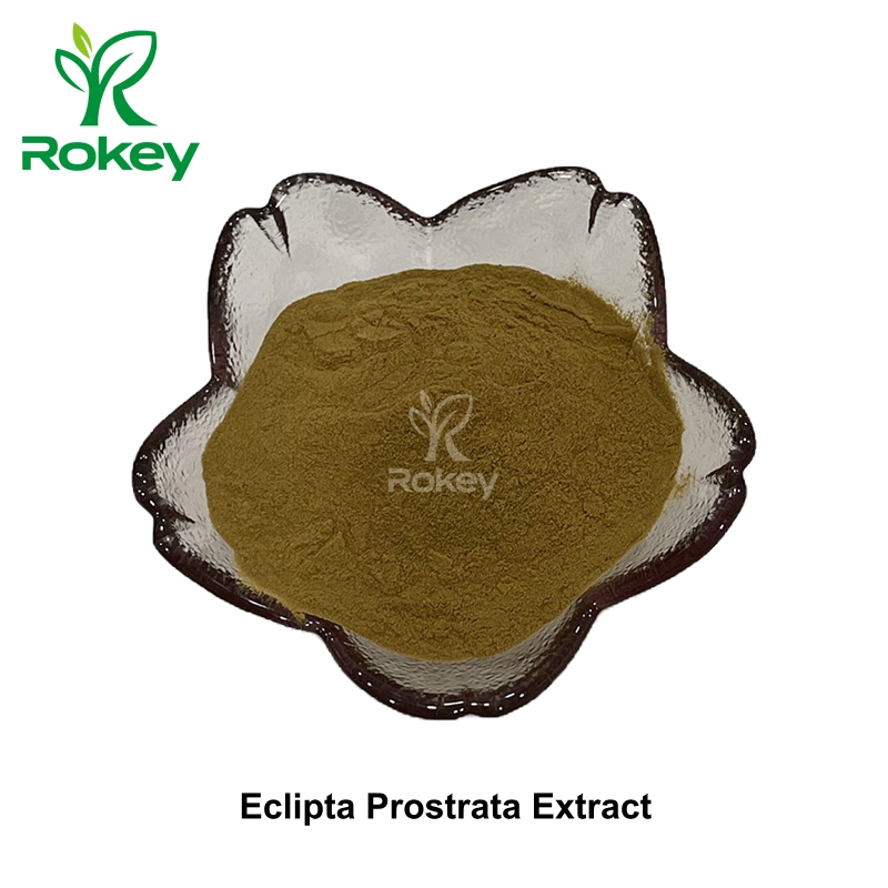 Premium Herbal Supplement for Liver &amp; Hair Health Eclipta Prostrata Extract