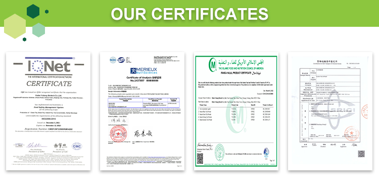 Testing Certificates