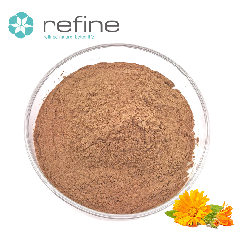 Hot Selling Plant Herb Extract Antioxidant 10:1 20:1 30:1 Pine Leaf Chrysanthemum Lampran Kanna Mesembrine Extract Powder