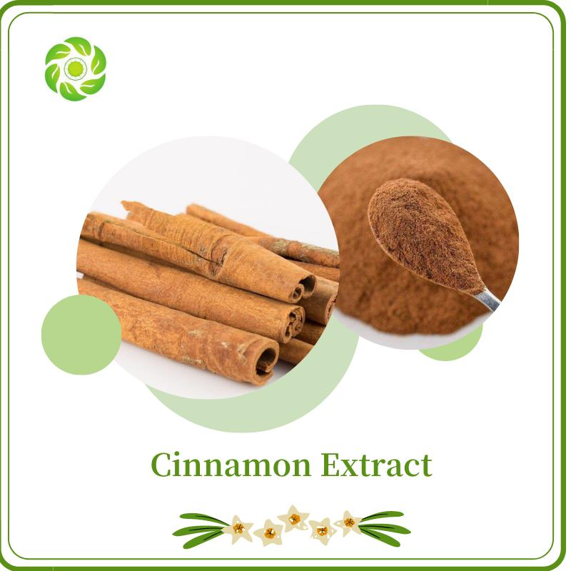World Well-Being Herbal Extract Natural Water Soluble 30% 50% Cinnamon Polyphenols 30: 1 Cinnamon Extract