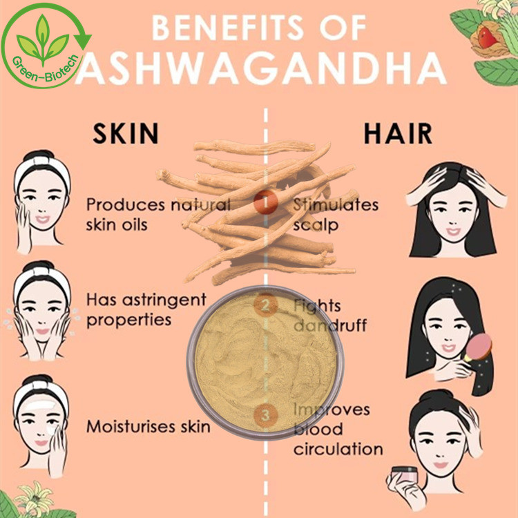 Standardized Natural Raw 2.5% 5% 10% Withanolides Certified Organic Ashwagandha Root Extract Capsules Ashwagandha Powder