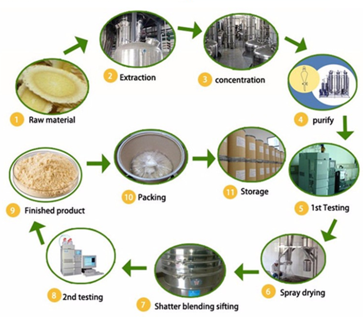 Plant Extract Magnolia Officinalis Bark Extract 98% Magnolol Powder CAS 528-43-8