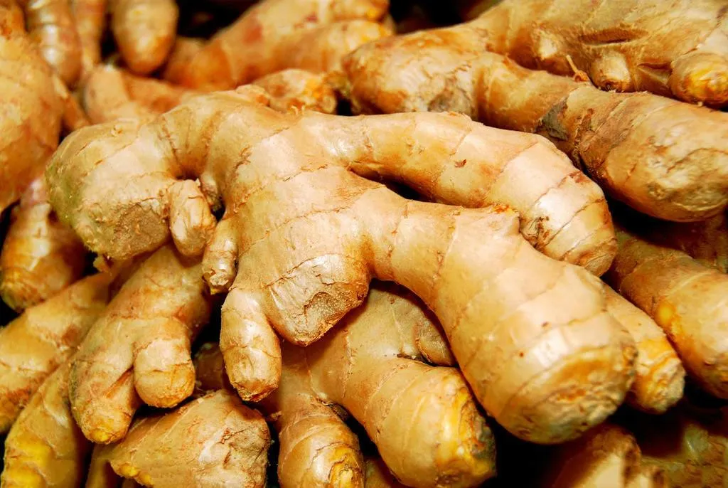High Quality Chinese Herbal Extract Dried Ginger Extract
