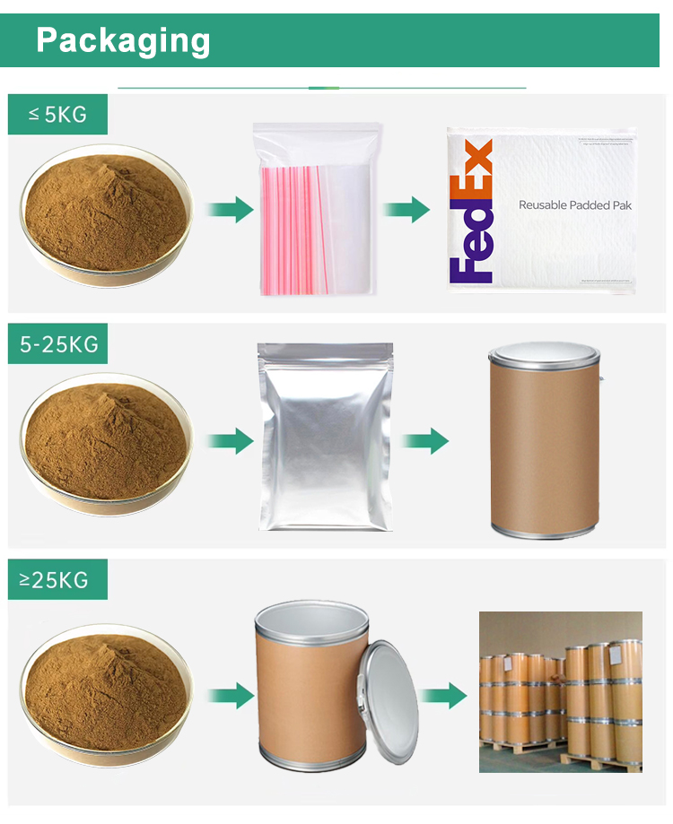 Chinese Traditional Isatis Indigotica Fort Leaf Extract BanLanGen Powder Indigowoad Root Extract