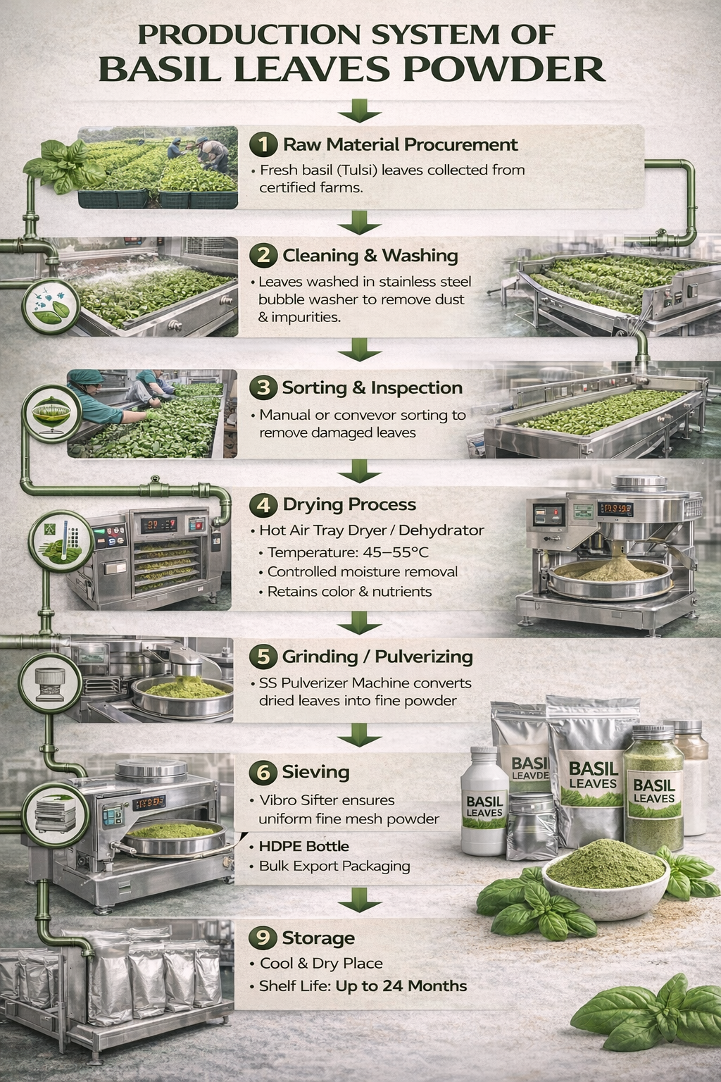 Standardized Packaging Solutions