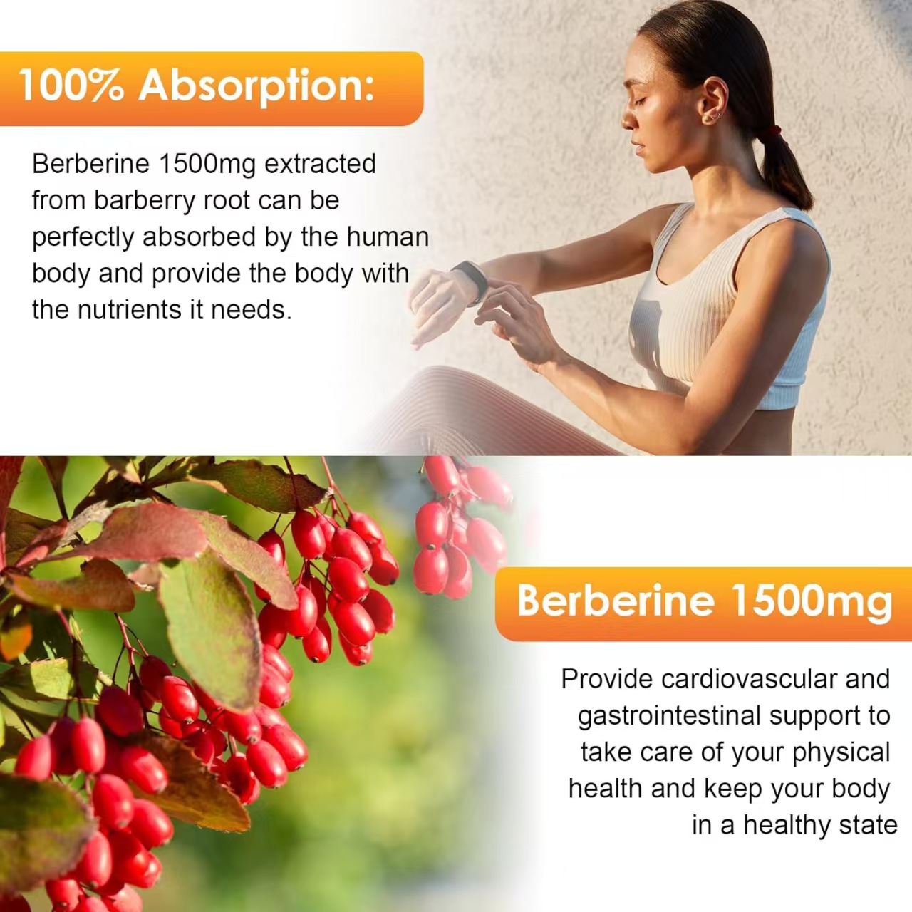 Berberine Liquid Drops Display 2