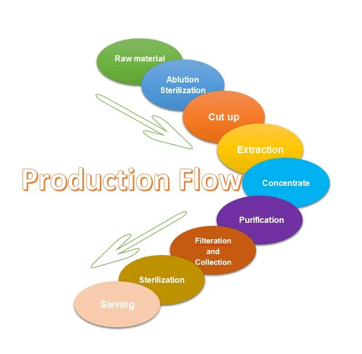 Production Process Chart