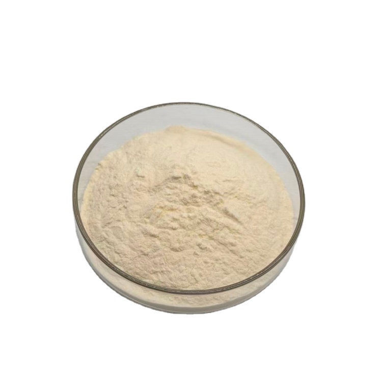 Siberian Ginseng Extract Powder Ginsenosides Powder Chinese Traditional Herb Siberian Ginseng Extract