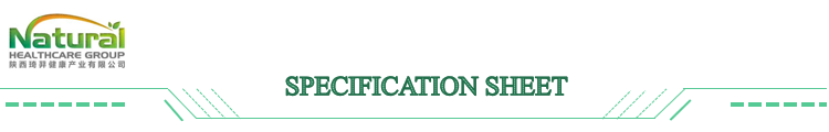 High Quality Plant Extract Pine Needle Leaf Extract 10:1/20:1 Free Sample
