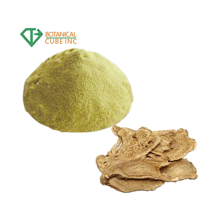 Radix Aucklandiae Extract Costus Root Extract Powder