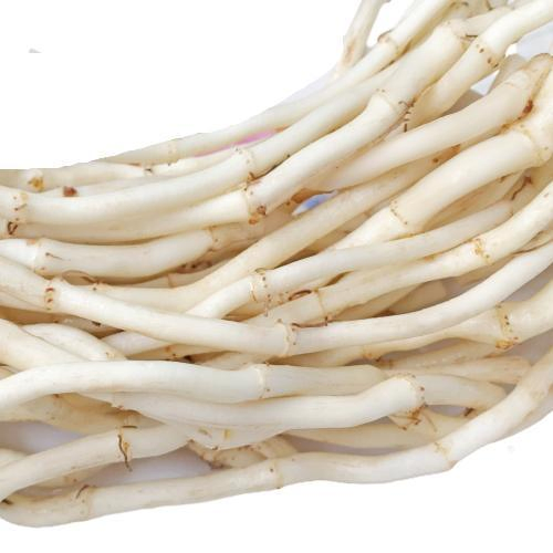 Heartleaf Houttuynia Herb Extract for Promoting Stomach Used in Nutrition