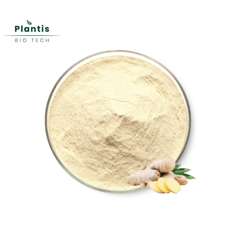 5% Gingerol Ginger Natural Extract Nausea Relief Digestive Health Anti-Inflammatory Immune Booster Food Grade Ginger Root Powder