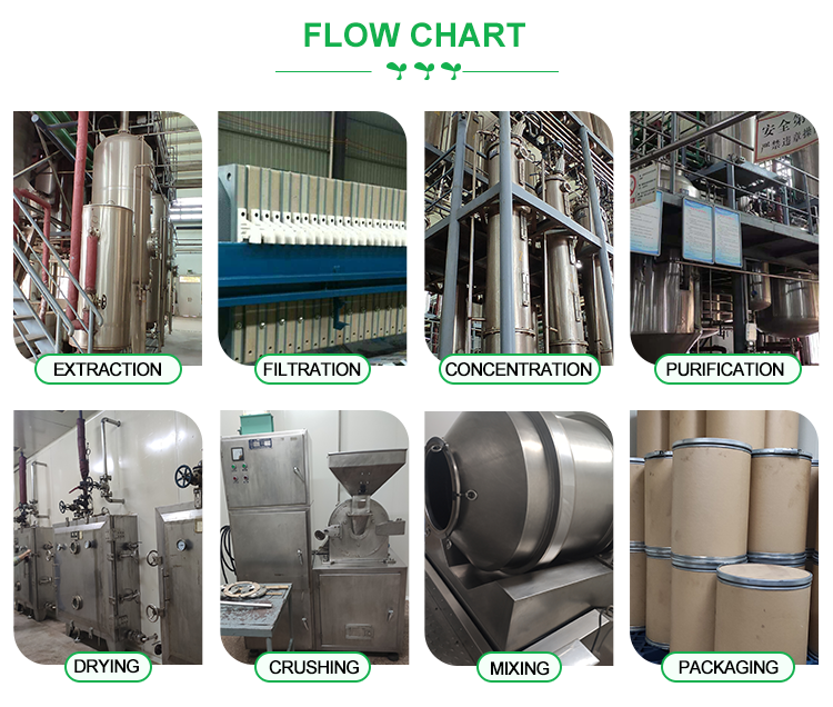 Production Flow Chart