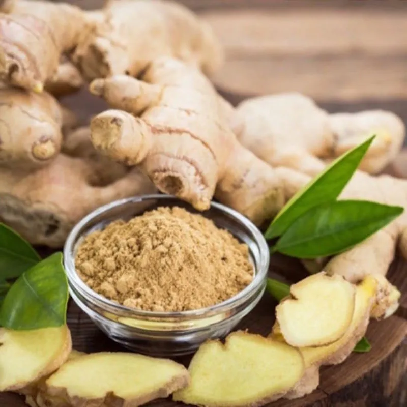 High Quality Chinese Herbal Extract Dried Ginger Extract
