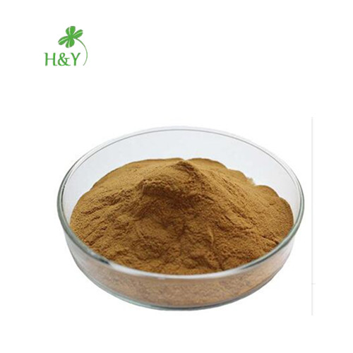 Boldo Leaves Extract Powder Specifications