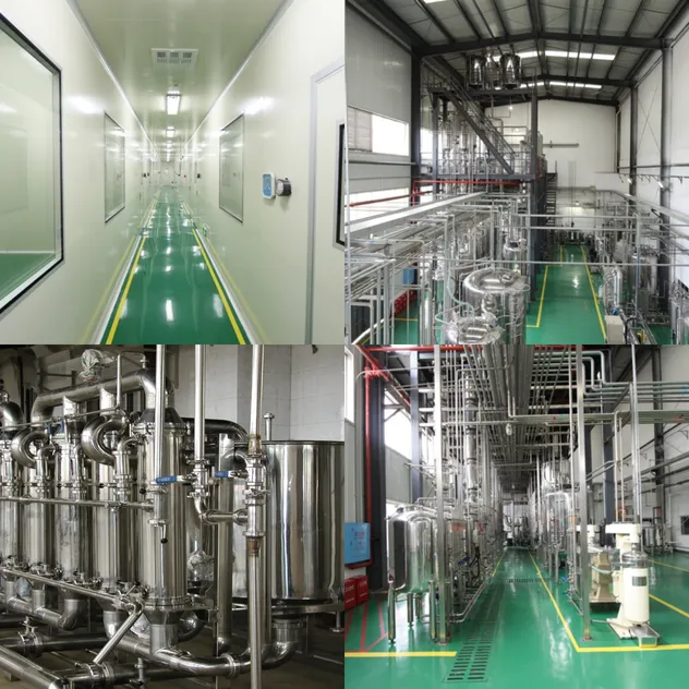 Natural Moringa Leaf Extract Powder - Production Facility
