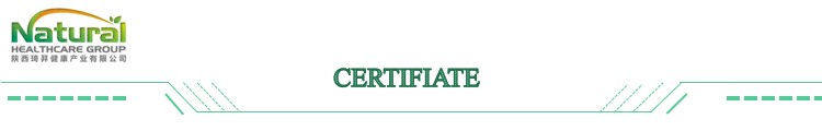 High Quality Plant Extract Pine Needle Leaf Extract 10:1/20:1 Free Sample