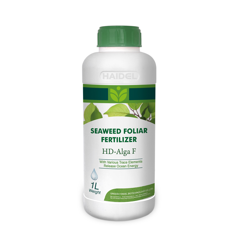 Liquid TE Ascophyllum Nodosum Water Soluble Seaweed Extract Organic Foliar Fertilizer