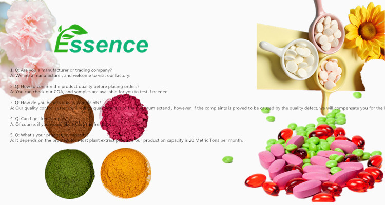 Plant Extract Magnolia Officinalis Bark Extract 98% Magnolol Powder CAS 528-43-8